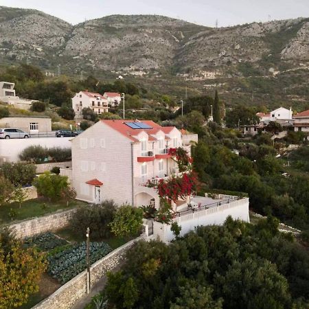 Villa Panorama Dubrovnik 米利尼 外观 照片